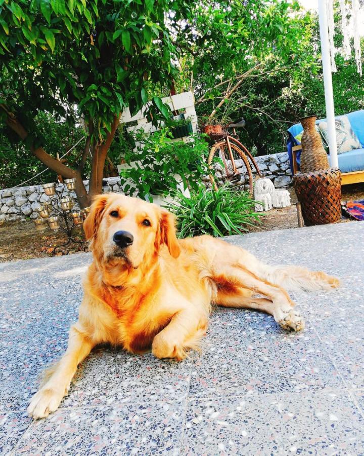 L'Onda Oda Bodrum Exteriör bild